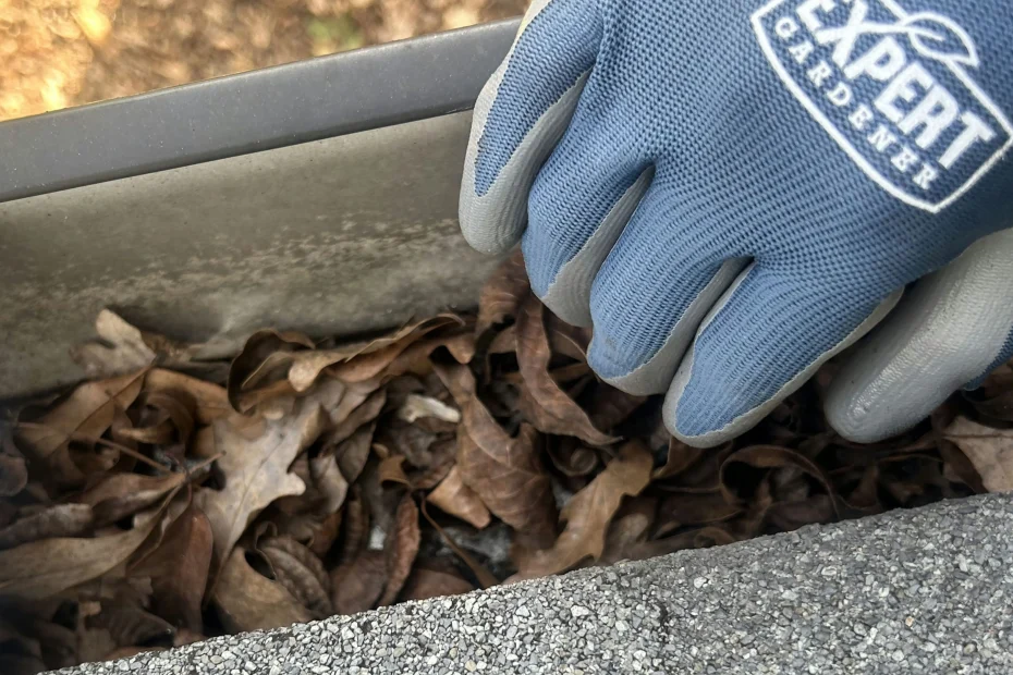 Gutter Cleaning Oak Island