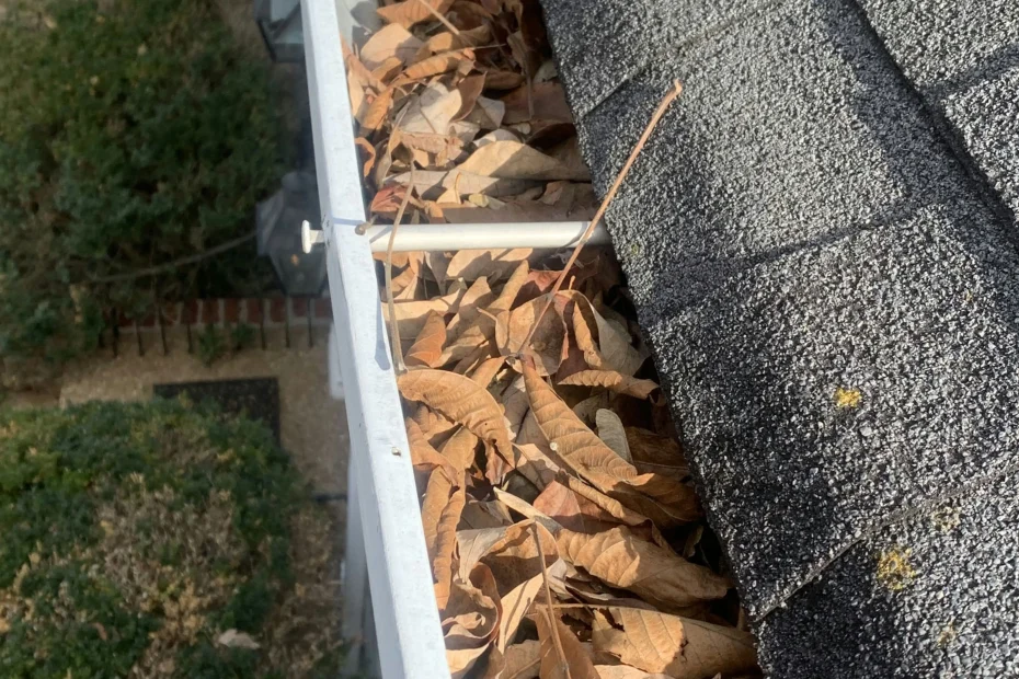 Gutter Cleaning Oak Island